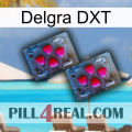 Delgra DXT 14